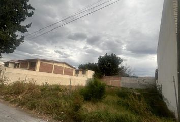Lote de Terreno en  Los Álamos, Saltillo, Saltillo, Coahuila