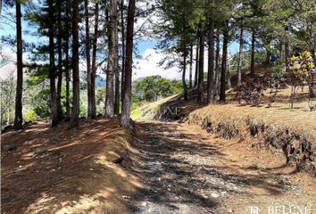 Lotes y Terrenos en  Alto De La Mesa, Antón