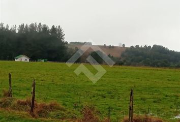 Parcela en  Los Muermos, Llanquihue