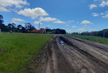 Terrenos en  Barrio Santa Celina, Mar Del Plata