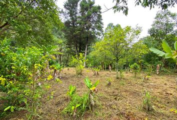 Terreno Comercial en  Vilcabamba (victoria), Loja