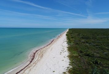 Lote de Terreno en  Celestún, Yucatán