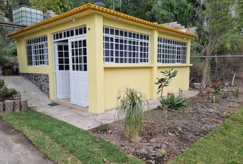 54 casas económicas en renta en Tula de Allende 