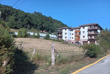 Terreno en  Cangas De Onis, Asturias