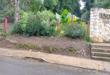 Lote de Terreno en  Coatepec Centro, Coatepec, Veracruz