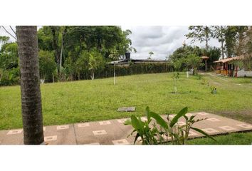 Apartment for rent in Centro, Pereira