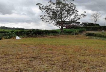 Lote de Terreno en  Cerritos, Pereira