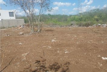 Lote de Terreno en  Santa Gertrudis Copo, Mérida, Yucatán