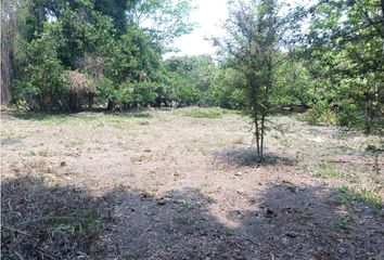 Lote de Terreno en  Puerto Madero Centro, Tapachula