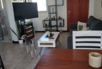 Departamento en  Macrocentro, Mar Del Plata