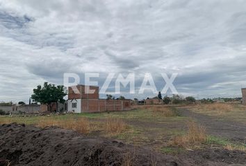 Lote de Terreno en  Palo Blanco, Salamanca