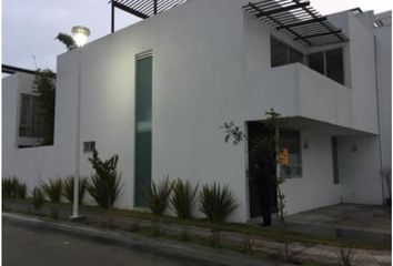 202 casas en renta en Fraccionamiento Lomas de Angelópolis, San Andrés  Cholula 