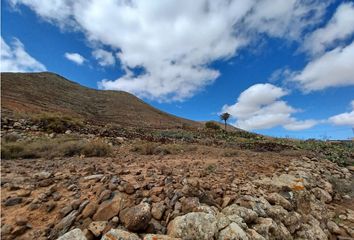 Terreno en  La Oliva, Palmas (las)