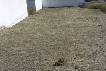 Terreno en  Arcos De La Frontera, Cádiz Provincia