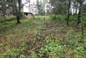 Lote de Terreno en  Avándaro, Valle De Bravo