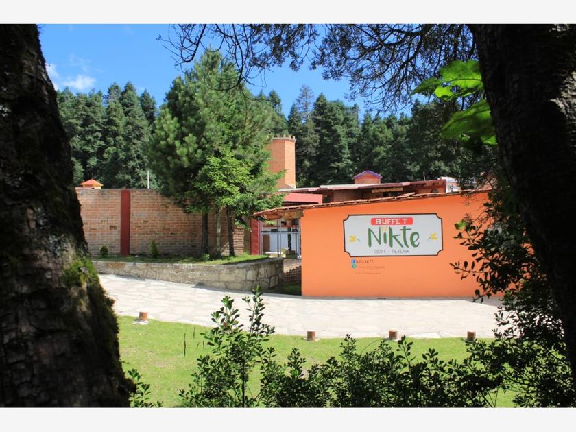 venta Casa en Mineral del Monte, Hidalgo (MX22NX9655) icasas.mx