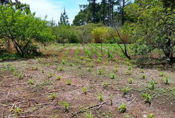 Lote de Terreno en  Teopisca, Chiapas