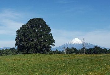 Parcela en  Puyehue, Osorno