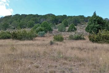 Lote de Terreno en  Arteaga, Arteaga, Arteaga, Coahuila