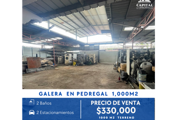 Bodega/Galera en  Pedregal, Ciudad De Panamá