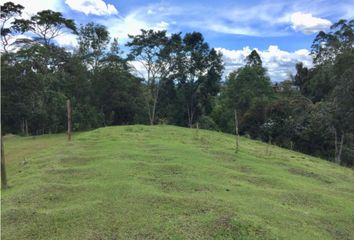 Lote de Terreno en  Puerto Nare, Antioquia