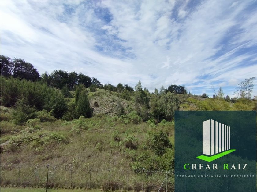 Apartamento en arriendo Rionegro Antioquía, Antioquia