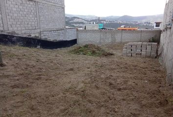 Terreno Comercial en  Tumbaco, Quito