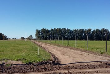 Terrenos en  Baradero, Partido De Baradero