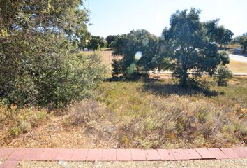 Terreno en  Carrascal De Barregas, Salamanca Provincia