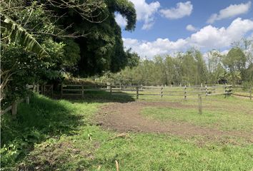 Lote de Terreno en  Rionegro Antioquía