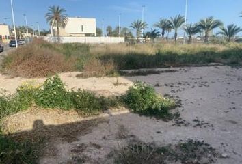 Terreno en  Elx/elche, Alicante Provincia