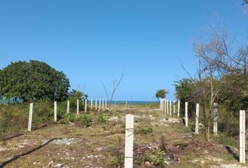 Lote de Terreno en  Celestún, Yucatán