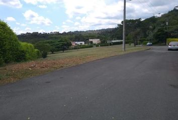 Lote de Terreno en  Carrera 11 10-66-10-46, Peon, Jamundí, Valle Del Cauca, Col