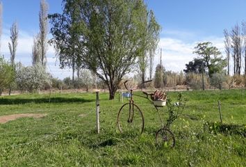 Terrenos en  San Rafael, Mendoza