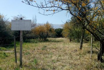 Terrenos en  Merlo, San Luis