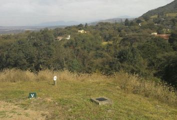 Terrenos en  Los Zarzos, Villa San Lorenzo