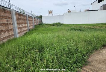 Lote de Terreno en  Privada Eclipse De Luna, Entorno Residencial, Celaya, Guanajuato, 38115, Mex