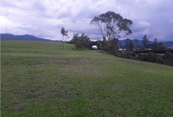 Lote de Terreno en  La Ceja, Antioquia