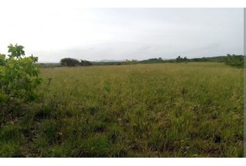 Finca/Hacienda en  Antón