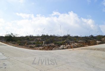 Lote de Terreno en  Calle Van Gogh, García Centro, García, Nuevo León, 66000, Mex