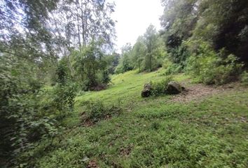 Lote de Terreno en  Valle De Bravo, México, Mex