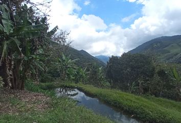 Villa-Quinta en  Centro Poblado, Calima