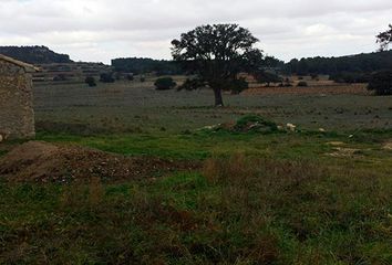 Terreno en  Requena, Valencia/valència Provincia