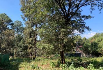 Lote de Terreno en  Mex A-1d, Avándaro, Valle De Bravo, México, 51200, Mex