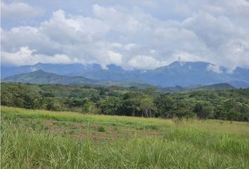 Finca/Hacienda en  Capira