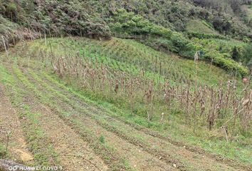 Lote de Terreno en  Entrada, Campo Eucaristico, Bogotá, Distrito Capital, Col