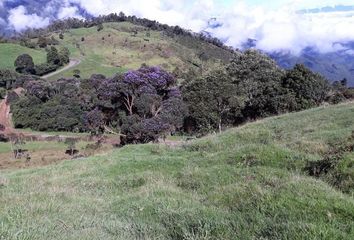 Villa-Quinta en  Rio Firgzadas, Tuluá, Valle Del Cauca, Col