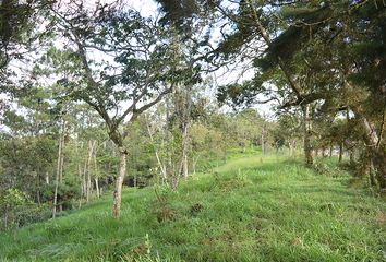 Lote de Terreno en  Telecom, Yumbo, Valle Del Cauca, Col