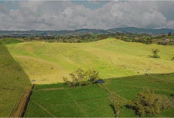 Lote de Terreno en  Las Palmas, Medellín