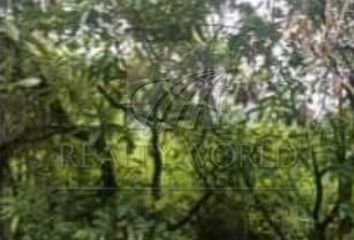 Lote de Terreno en  Malinalco, Estado De México